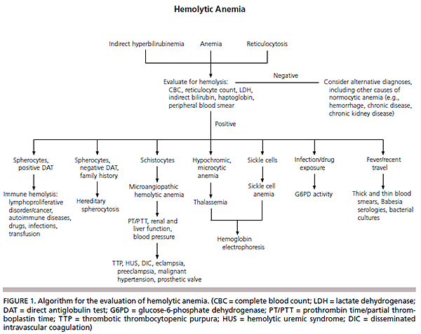 hemolytic-anaemia